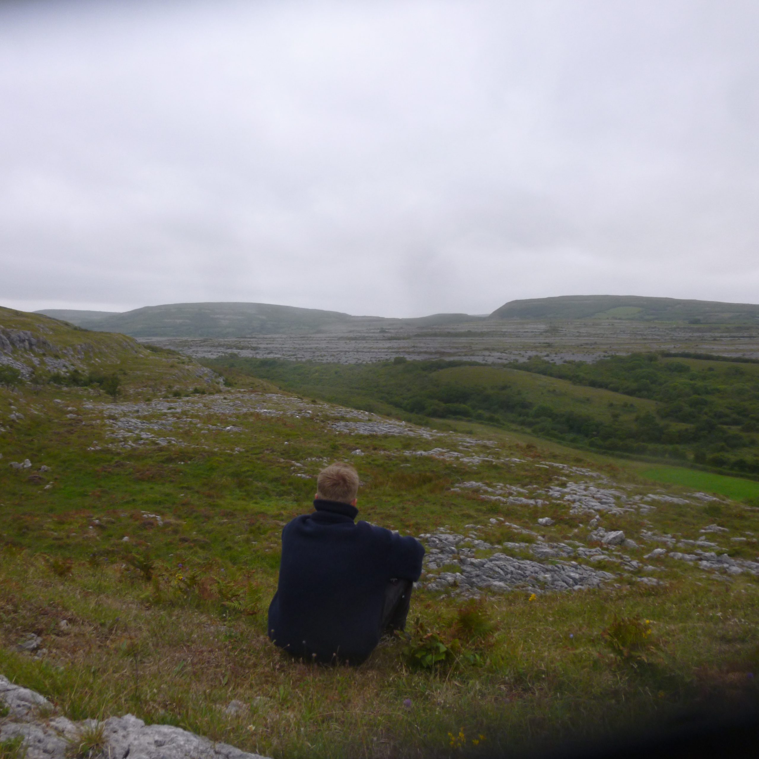 Irland 2018 – Sippe Rauhfußbussard